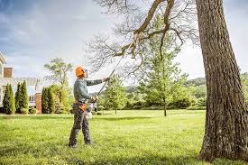 Penn Estates, PA Tree Care Company